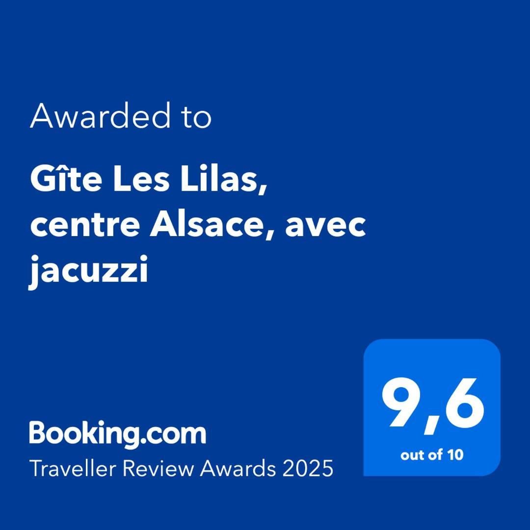 Holiday home Les Lilas, Centre Alsace, Avec Jacuzzi